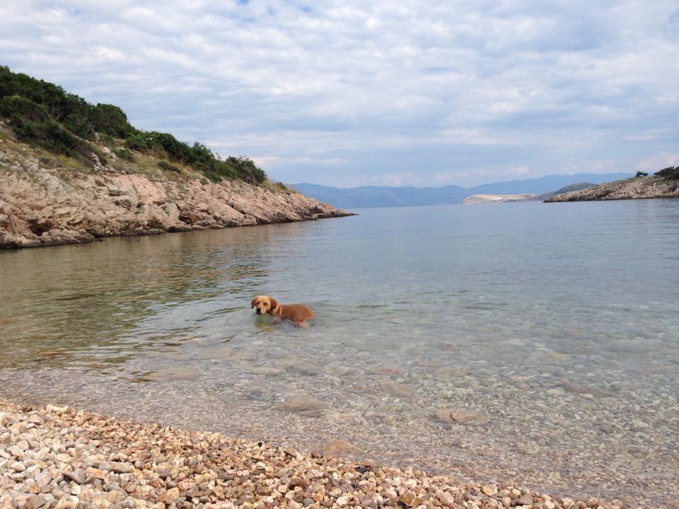 Triglav Studio Apartments Punat Εξωτερικό φωτογραφία